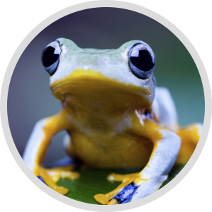 CSS3 Course in 2016